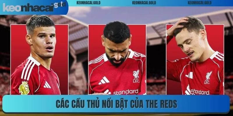 Các cầu thủ nổi bật của The Reds