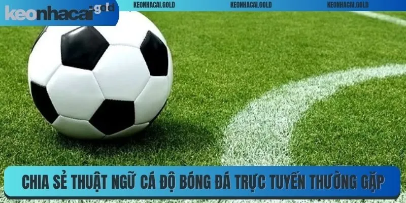 Chia sẻ thuật ngữ cá độ bóng đá trực tuyến thường gặp