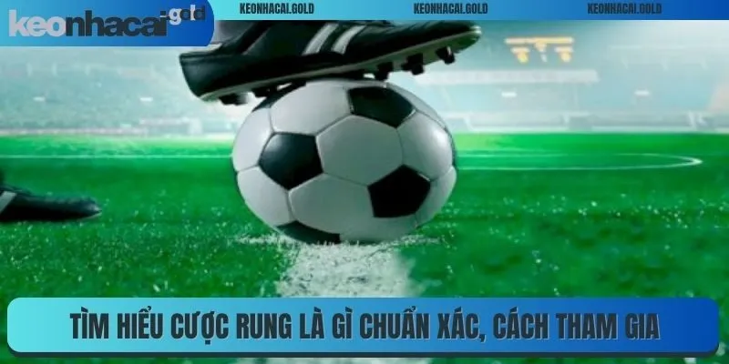 Tìm hiểu cược rung là gì chuẩn xác, cách tham gia