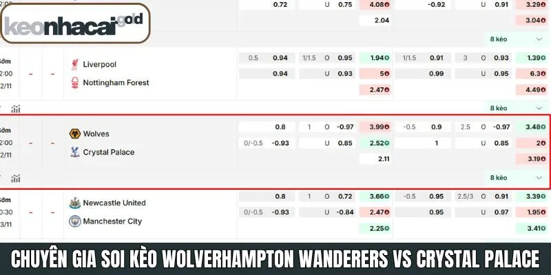 Soi kèo Wolverhampton Wanderers vs Crystal Palace cho từng loại cược