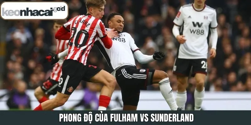 Lực lượng hiện tại của 2 đội bóng Fulham và Sunderland