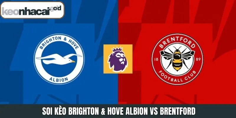 Soi Kèo Brighton & Hove Albion vs Brentford 22h00 Ngày 22/11/2025