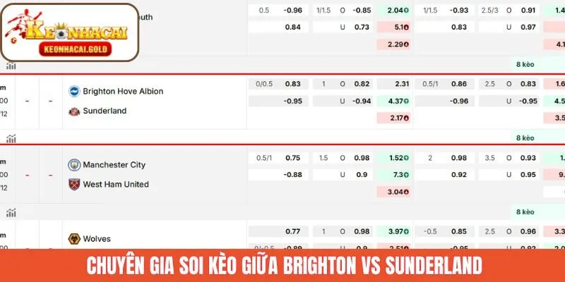 Dự đoán kèo cược của cả hai đội Brighton và Sunderland