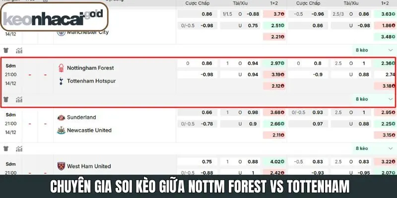 Soi kèo Nottm Forest - Tottenham từ chuyên gia
