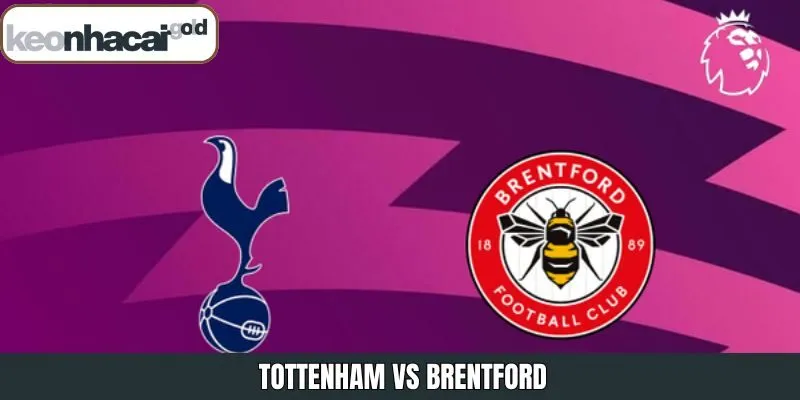 Nhận Định Tottenham Vs Brentford Vào 22h00 Ngày 6/12